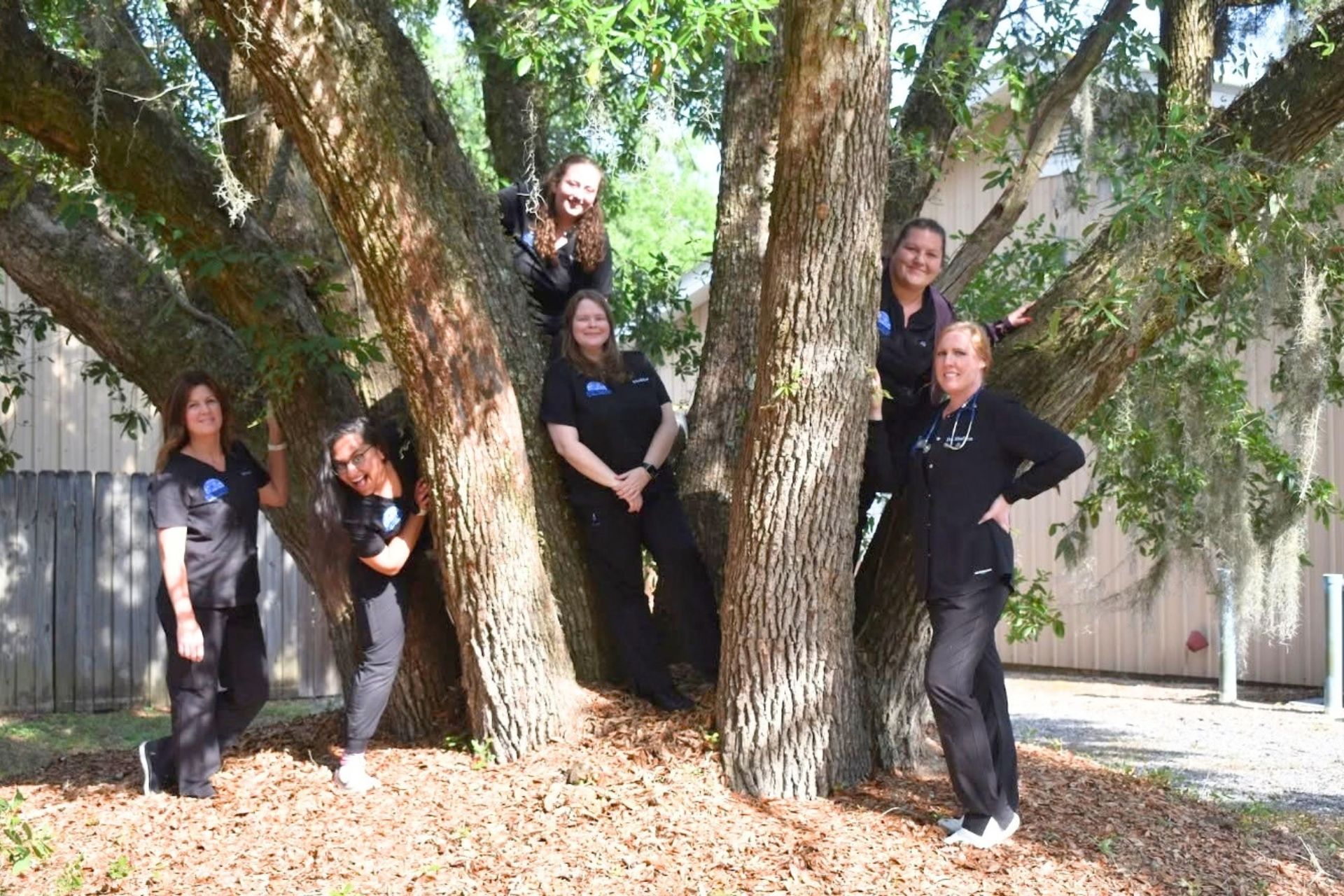 Team at Best Friends Animal Hospital